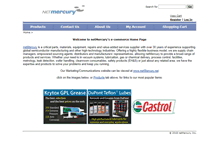 Tablet Screenshot of netmercury.com